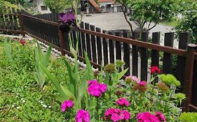 Apartman Domi