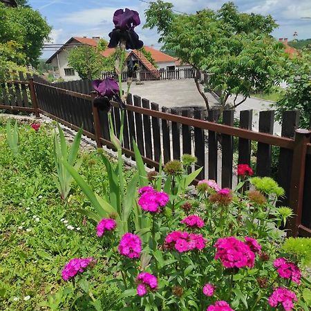Apartman Domi Szluin Kültér fotó
